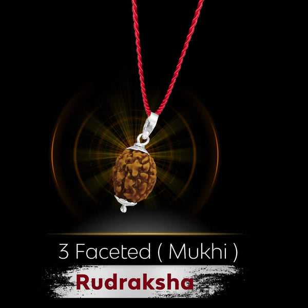 VEDVAANI 925 Sterling Silver pendent with 3 mukhi rudraksha original certified