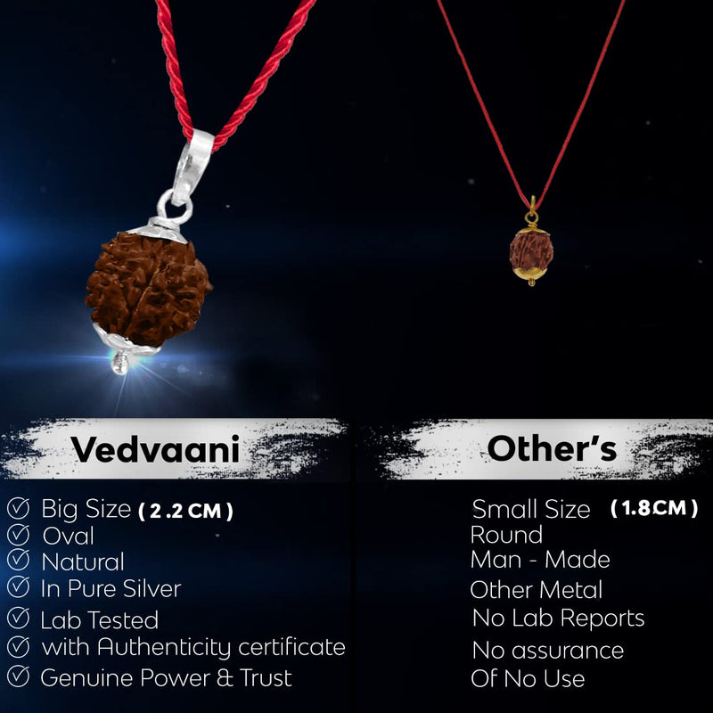 VEDVAANI 925 Sterling Silver pendent with 7 mukhi rudraksha original certified