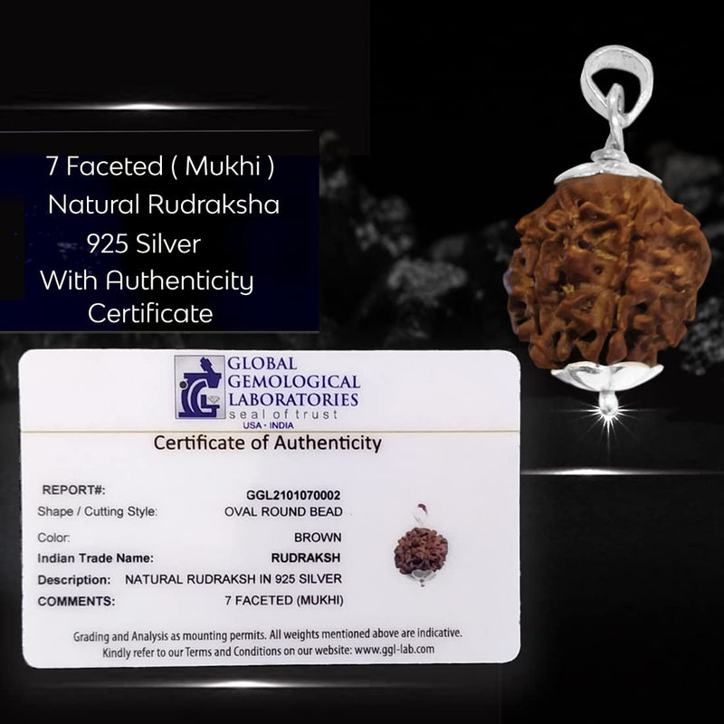 VEDVAANI 925 Sterling Silver pendent with 7 mukhi rudraksha original certified