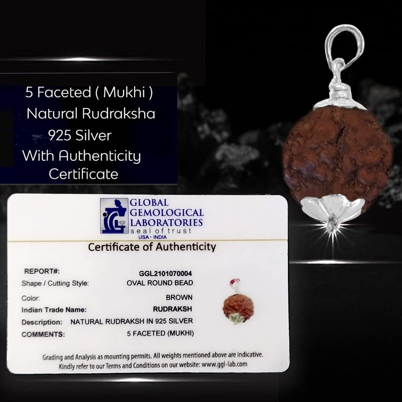 VEDVAANI 925 Sterling Silver pendent with 5 mukhi rudraksha original certified