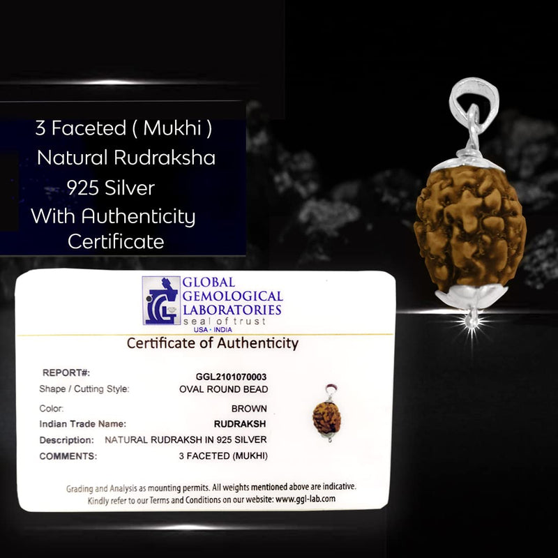 VEDVAANI 925 Sterling Silver pendent with 3 mukhi rudraksha original certified