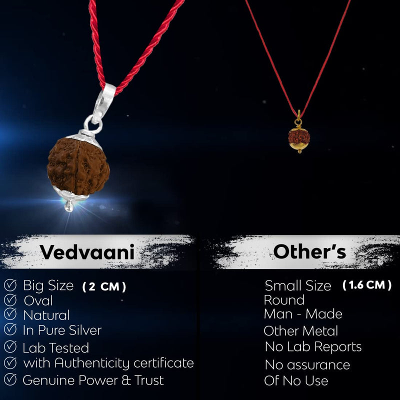 VEDVAANI 925 Sterling Silver pendent with 5 mukhi rudraksha original certified