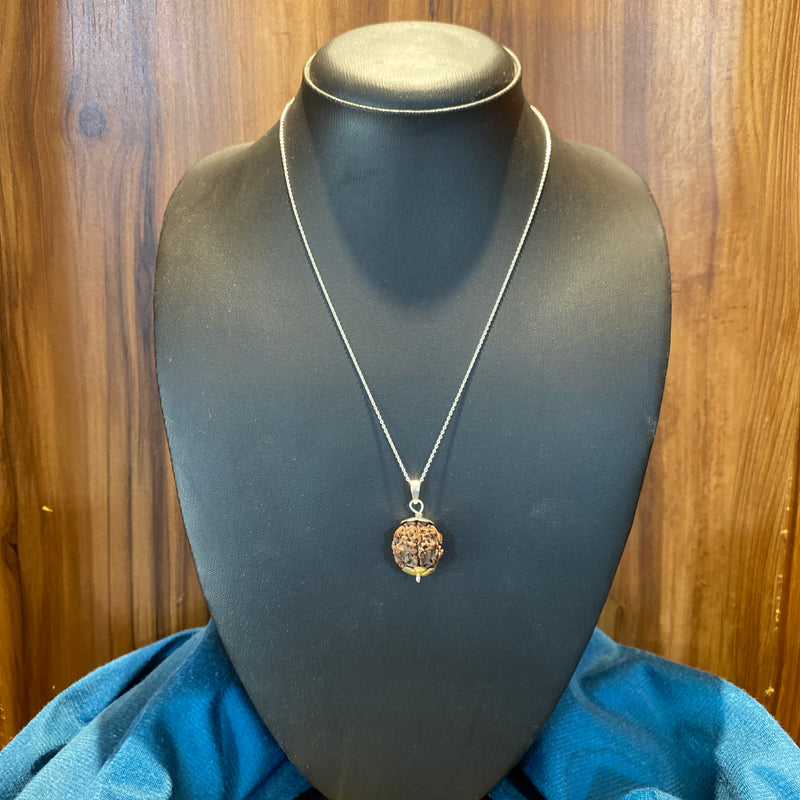Genuine 7 Mukhi Natural Rudraksha Pendant in 925 Sterling Silver