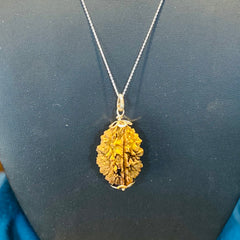 2 Mukhi Rudraksha Pendant with 925 Silver Chain for Men & Women