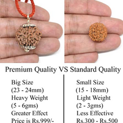 925 Sterling Silver Pendant with SAATMUKHI Natural Rudraksha
