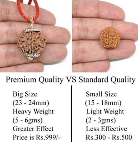 925 Sterling Silver Pendant with SAATMUKHI Natural Rudraksha