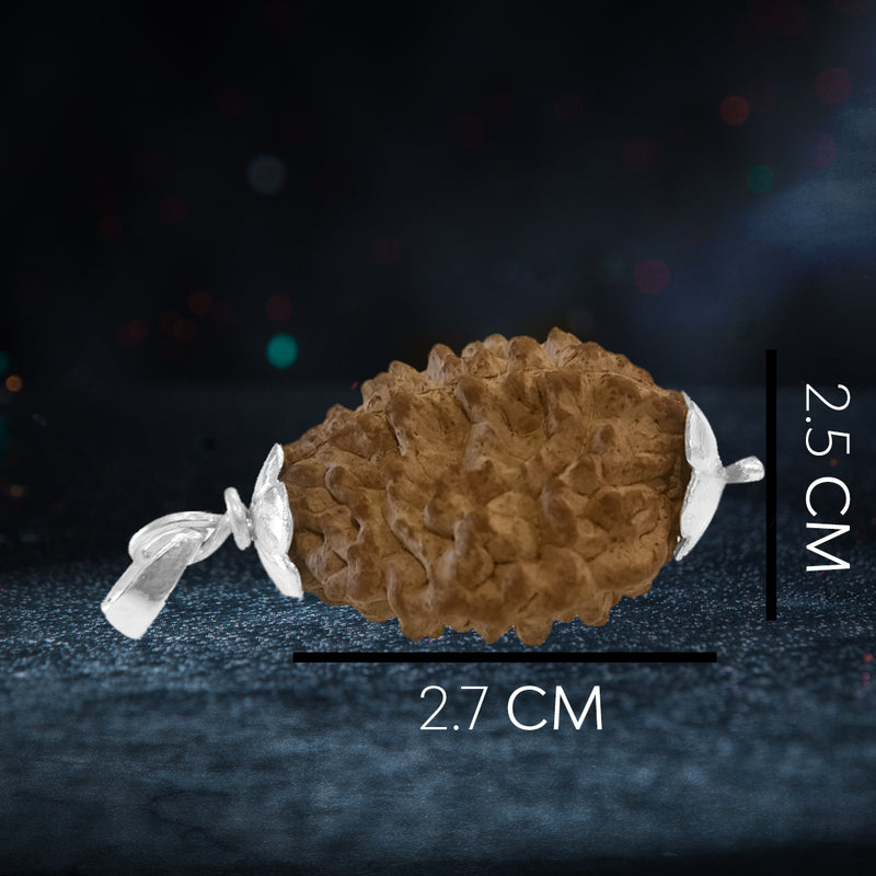 2 Mukhi Rudraksha Pendant with 925 Silver Chain for Men & Women